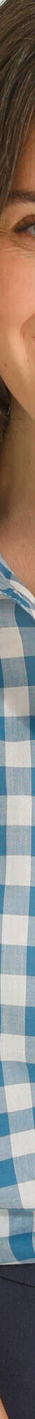 Geruite bloes, korte mouwen met omslag (blauw) Geruite bloes, korte mouwen met omslag (blauw)
